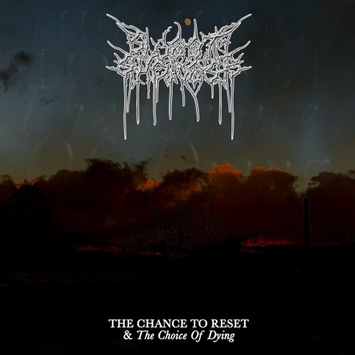 Sweet Sadness - The Chance To Reset & The Choice Of Dying (2022)