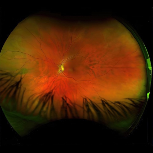 Greg Puciato (The Dillinger Escape Plan) - Mirrorcell (2022)