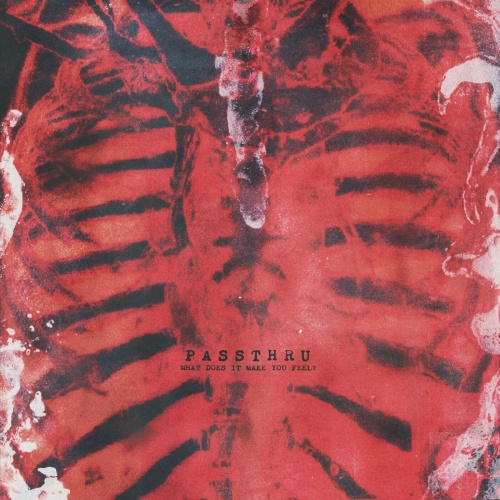 Passthru - What Does It Make You Feel? (2022)