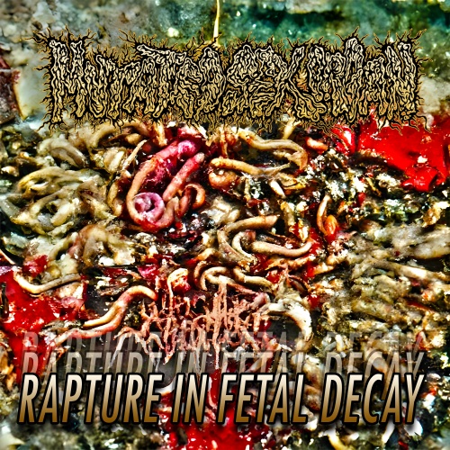 Mutated Sex Organ - Rapture in Fetal Decay (2022)
