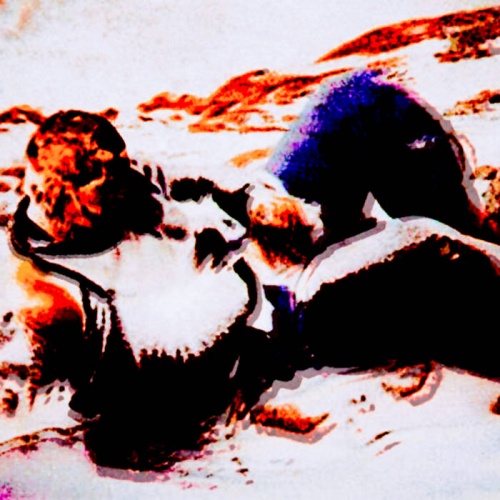 Boiled In Bleach - The All Consuming Bleakness Of Mortality (2022)