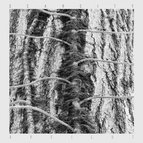Scarcity - Aveilut (2022)