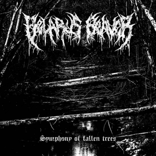 Belarus Beaver - Symphony of Fallen Trees (2022)