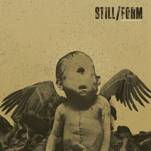 Still / Form - From The Rot Is A Gift (2022)
