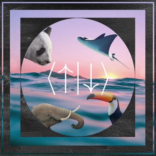 Cosmic Umpire - ISLE OF PROBABILITY (2022)