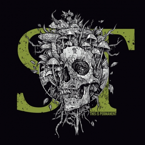 Stone Thrower - This is Permanent (2022)