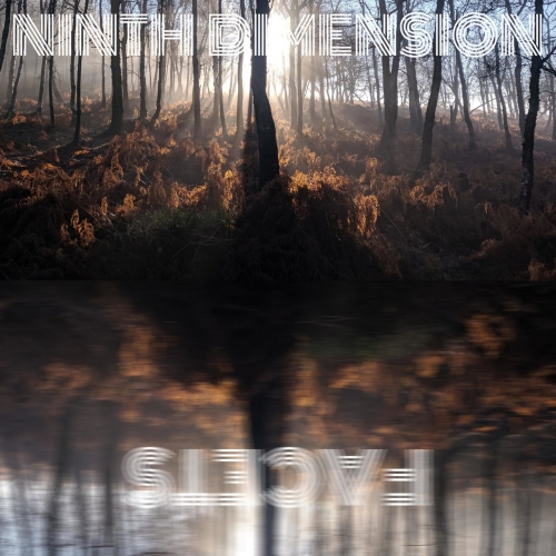 Ninth Dimension - Facets (2022)