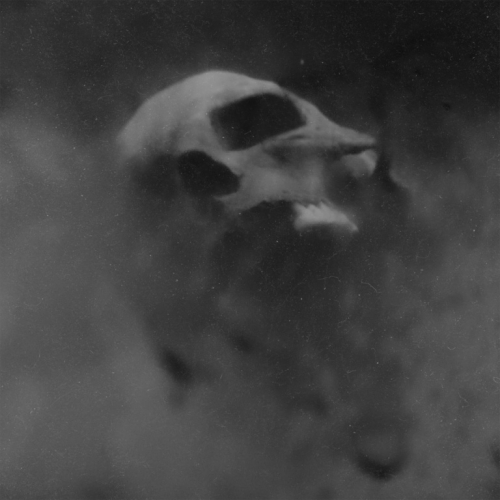 Hadopelagyal - Nereidean Seismic End (2022)