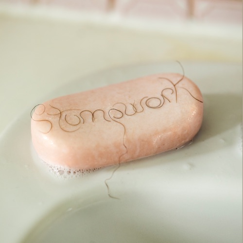 Dry Cleaning - Stumpwork (2022)