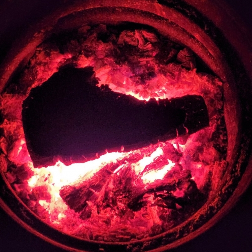 Paintings of Burning trees - Into the Darkness (2022)