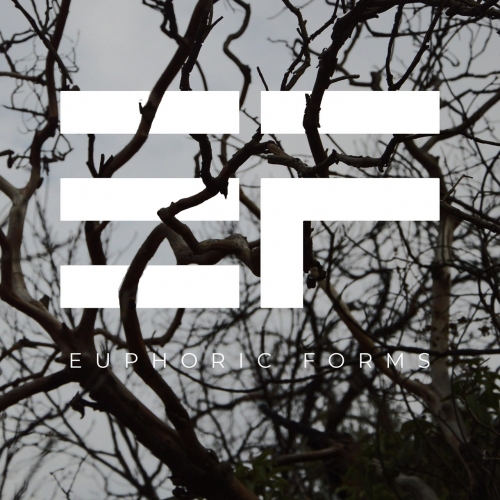 EUPHORIC FORMS - EUPHORIC FORMS (2022)