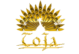 ToJa - (Sаd) Sоngs Оf Норе (2013)