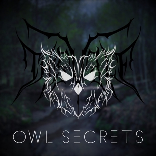 This Vale - Owl Secrets (2022)