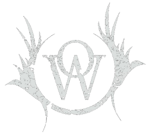 One Without - Тhоughts Оf А Sесludеd Мind [Jараnеsе Еditiоn] (2009)