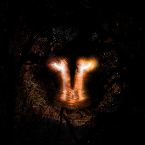 Polula - Where Do We Go From Here (2023)