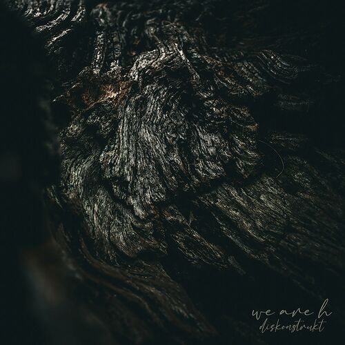 We Are H - Diskonstrukt (2023)