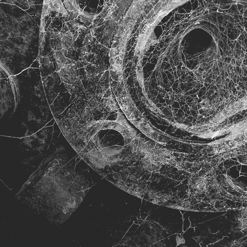 Úkryt - 1897 (2023)