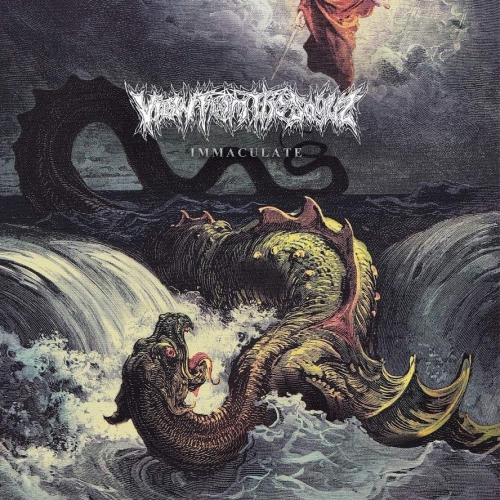 View from the Soyuz - Immaculate [ep] (2023)