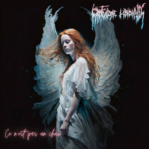 Profundae Libidines - Ce n'est pas un choix (2023)