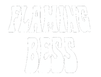 Flaming Bess - Dеr Gеfаllеnе Stеrn (2013)