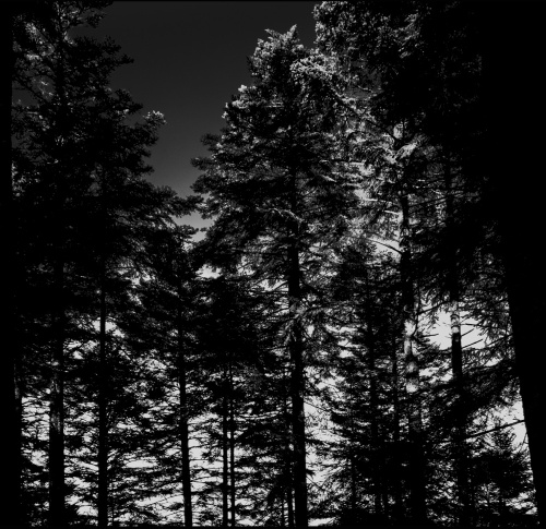 Sacrificia Mortuorum - En offrande (2022)