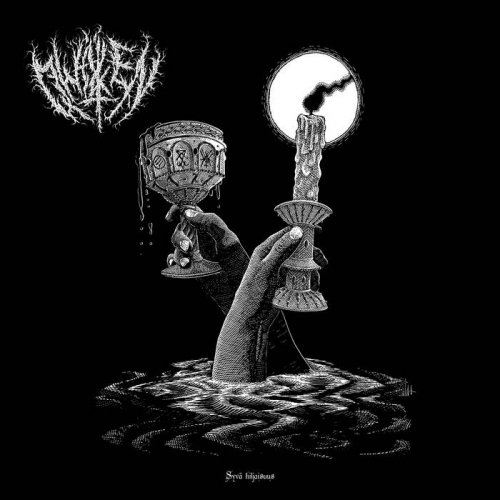 Qwaen - Syva Hiljaisuus  (2023)