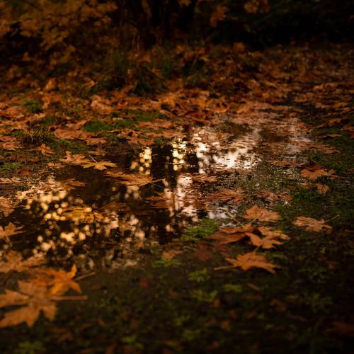 Electric Brain Electric Shadow - Love Among the Ruins (2023)