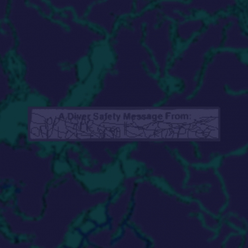 Opptak - The Accidental (2023)