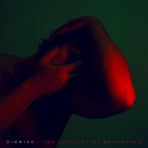 Dimwind - The Futility Of Breathing (2023)