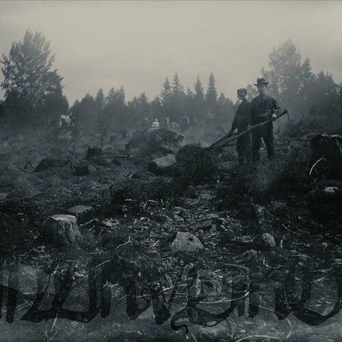 Naturvidrig - Naturvidrig (2023)