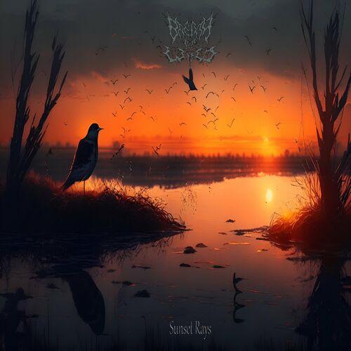 Breath Of Wind - Sunset Rays (2023)