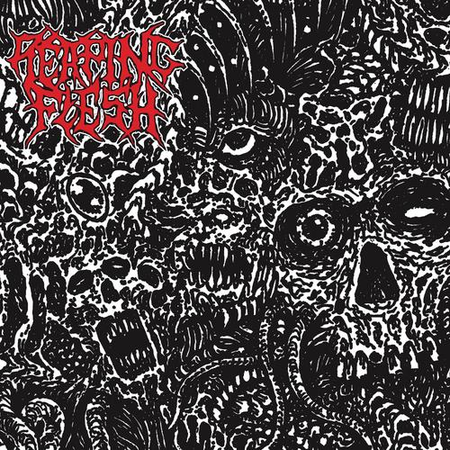 Reaping Flesh - Abyss of Existence [ep] (2023)