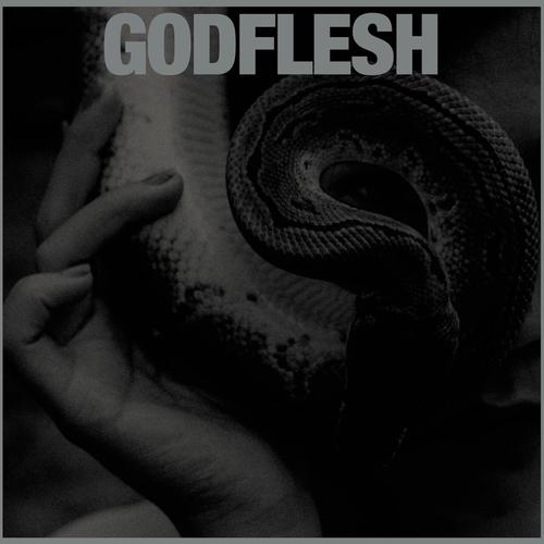 Godflesh - PURGE (2023)