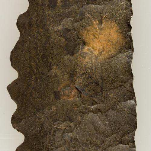 Jute Gyte - Eclose (2023)