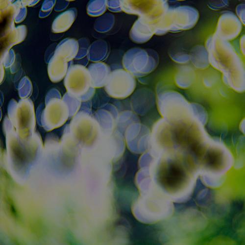 The Slow Voyage - The Slow Voyage (2023)