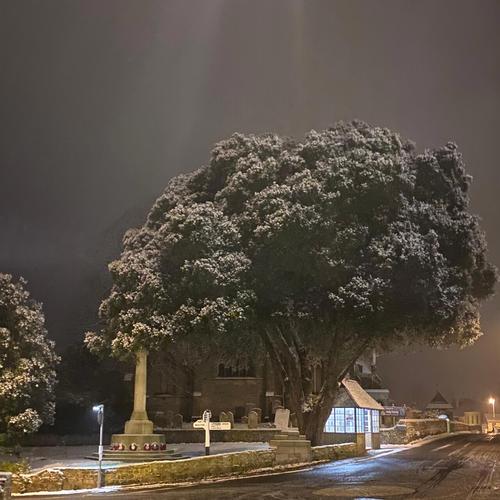 Archie Owen - The Cold Wind (2023)