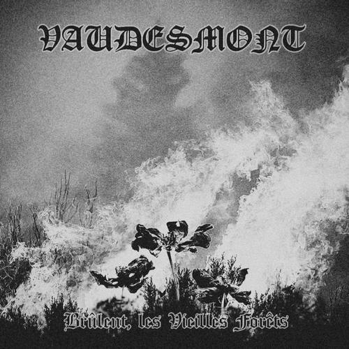 Vaudesmont - Brûlent, les Vieilles Forêts (2023)