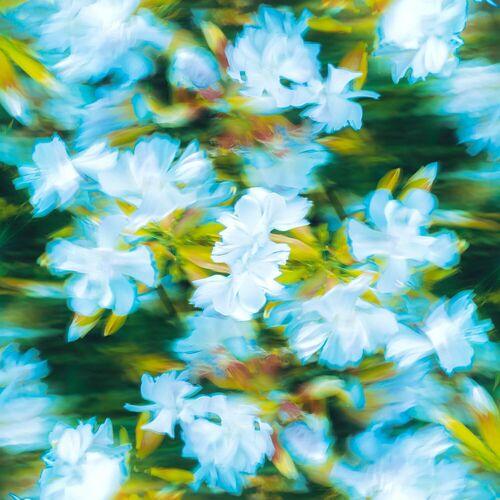 Lovewillsaveus - Brighter Days (2023)