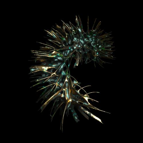 SLEEPWALKER - Skopofoboexoskelett (2023)