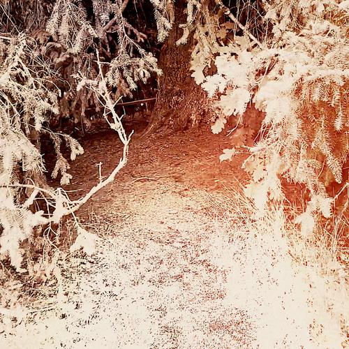 VERIARMO - Hartaus (2023)