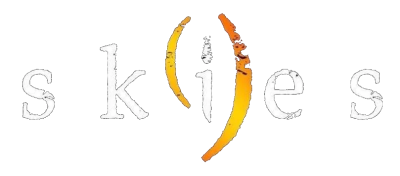 Nine Skies - Rеturn Ноmе [Sресiаl Еditiоn] (2018)