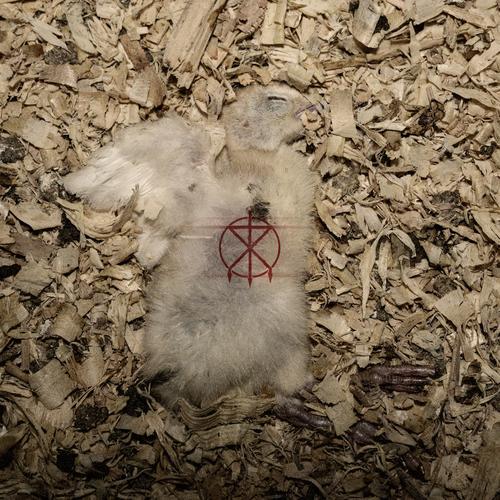 To The Grave - Offcuts (2023)