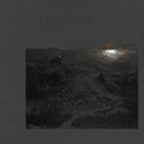 Flesh Of The Stars - The Glass Garden (2023)