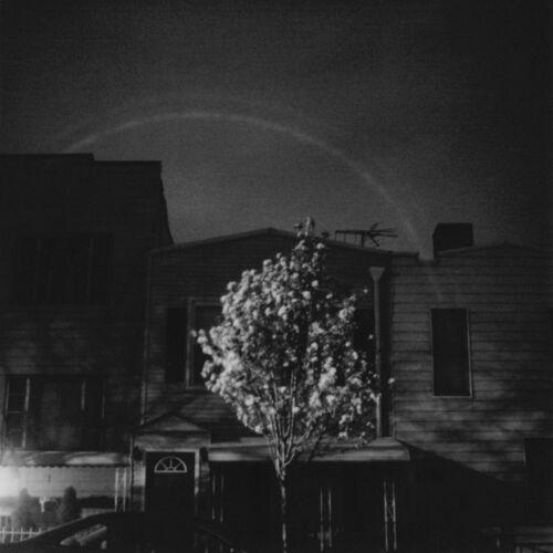 Open City - Hands In The Honey Jar (2023)