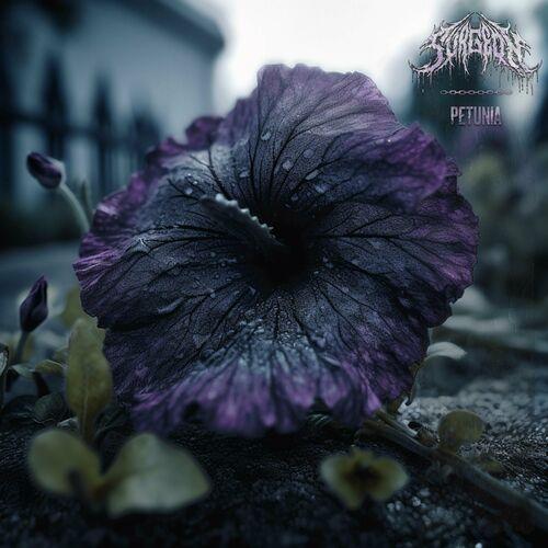 SURGEON - PETUNIA (2023)