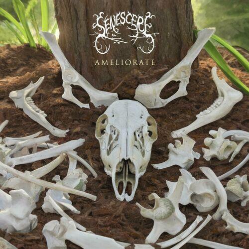 Senescere - Ameliorate [EP] (2023)