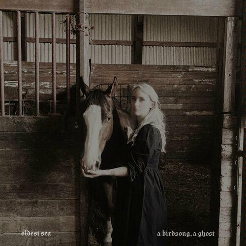 Oldest Sea - A Birdsong, A Ghost (2023)