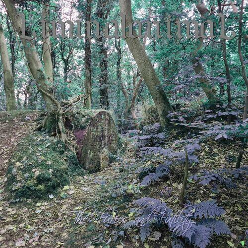 Liminalanimal - The Furies and Futility (2023)