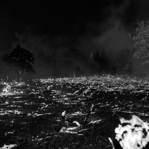 As Thou Wilt - Fuck This Torture (2023)