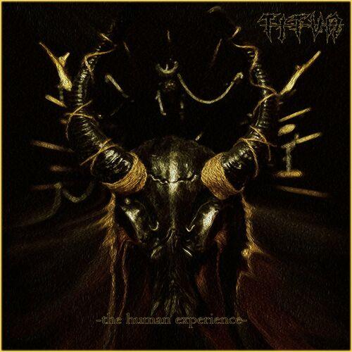 Titvn - The Human Experience (2023)